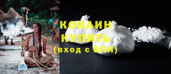 индика Козловка