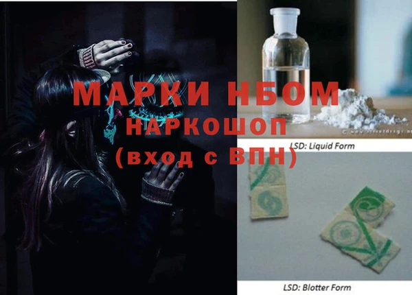 индика Козловка