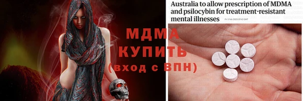 индика Козловка