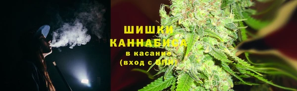 индика Козловка