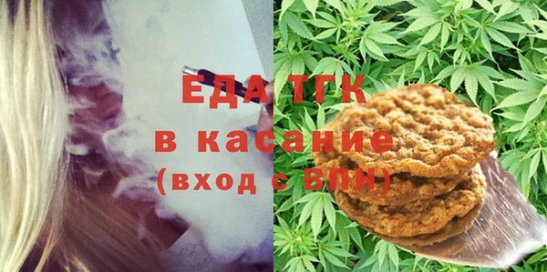 индика Козловка