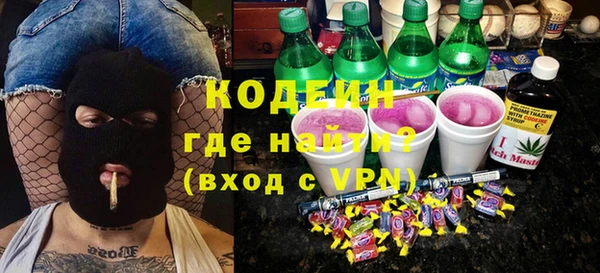 индика Козловка