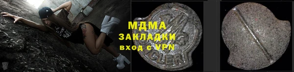 индика Козловка