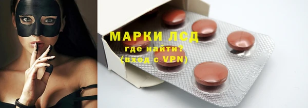 индика Козловка