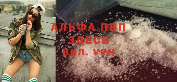 индика Козловка