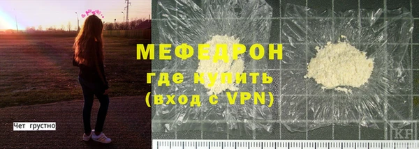 индика Козловка