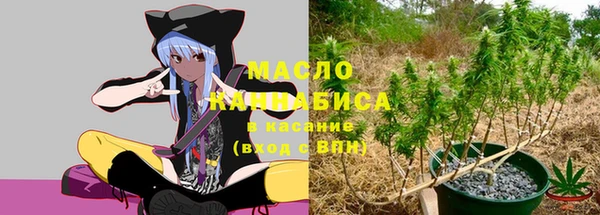 индика Козловка