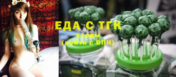 индика Козловка